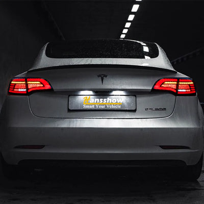 Model 3/Y - Eagle Eye Tail Lights